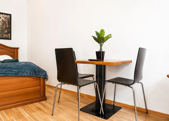 Apartment Cozy 1br &smart Tv, Wifi, For Long Vienna
